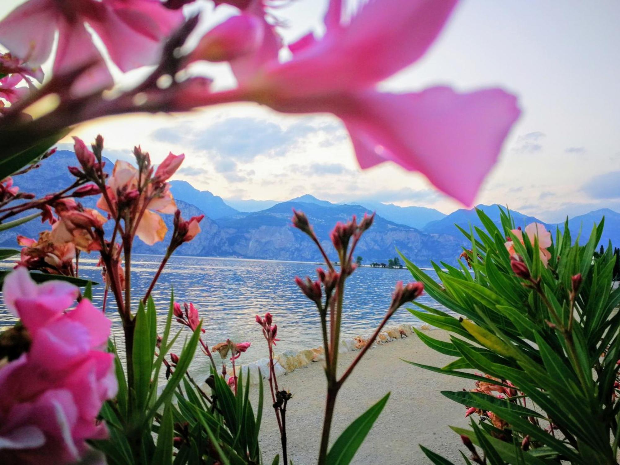 Hotel Drago - Garda Lake Collection 브렌조네 술 가르다 외부 사진